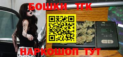 тгк Партизанск
