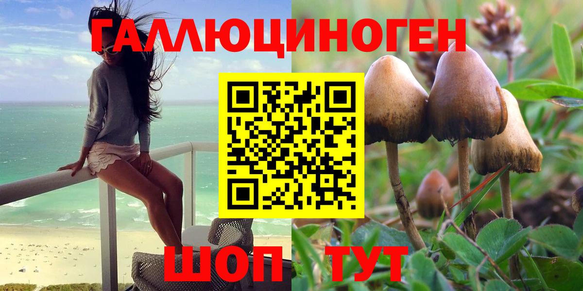 Псилоцибиновые грибы мицелий Сорочинск