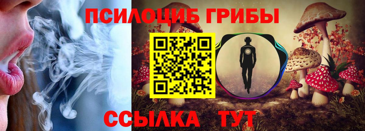 Сорочинск  Галлюциногенные грибы GOLDEN TEACHER  Вход с VPN 